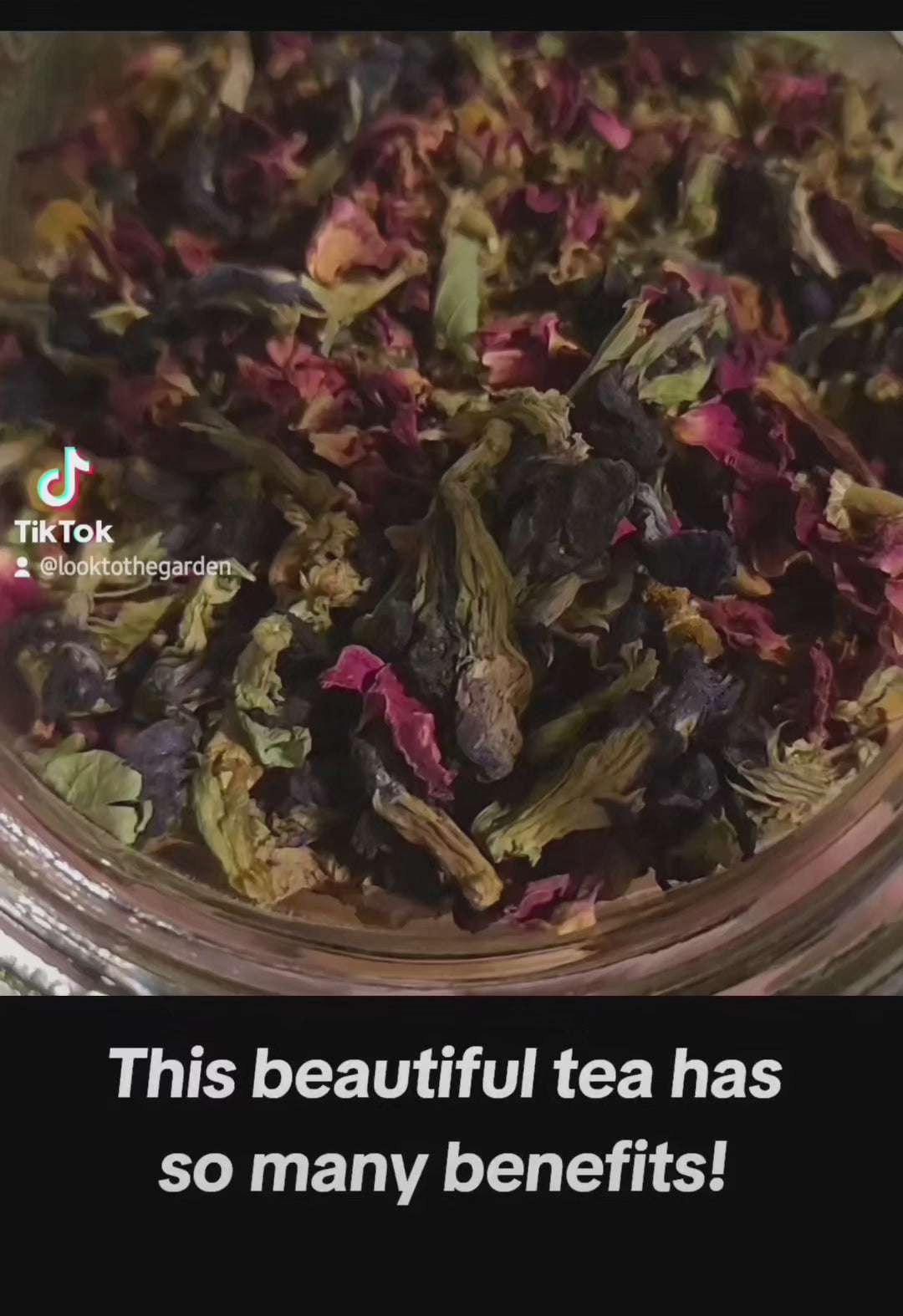 Budding Tranquility loose leaf tea